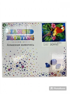 Алмазная мозаика 21*25D