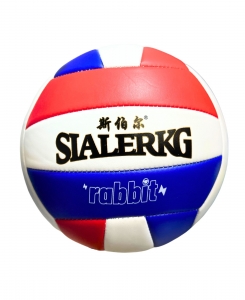 Мяч волейбольный 6038