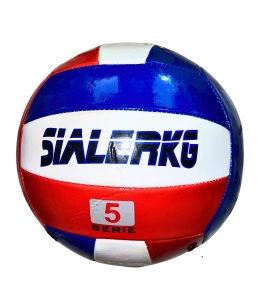 Мяч волейбольный 7011